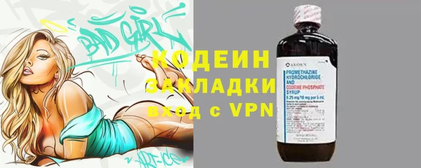 индика Лихославль