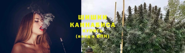 индика Лихославль