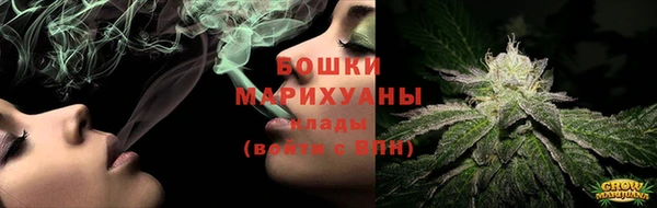 индика Лихославль