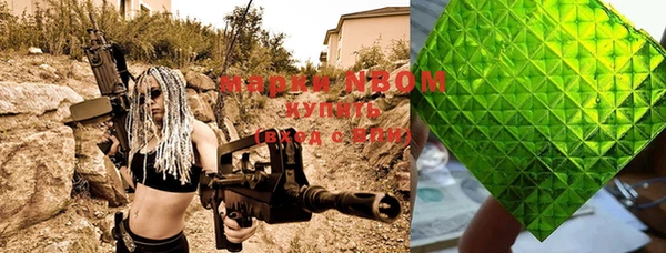 индика Лихославль