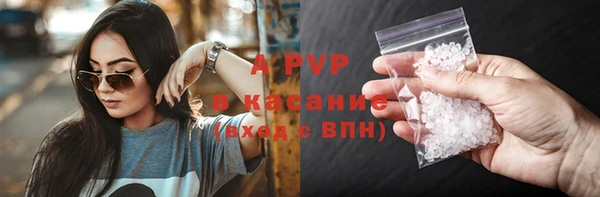 прущие грибы Лиски