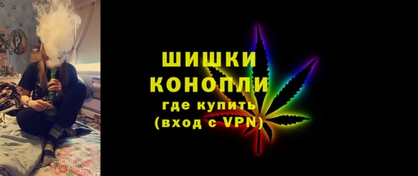 индика Лихославль