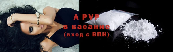 индика Лихославль