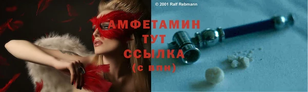 индика Лихославль