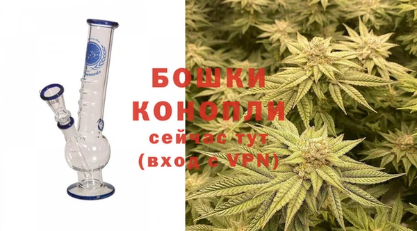 прущие грибы Лиски