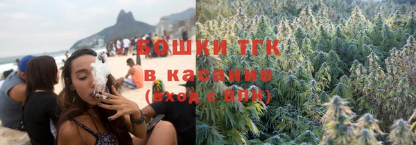индика Лихославль