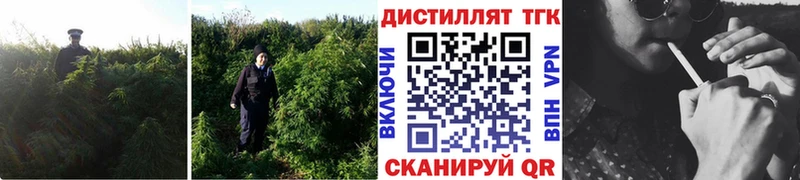 кракен зеркало Александровское Дистиллят ТГК жижа