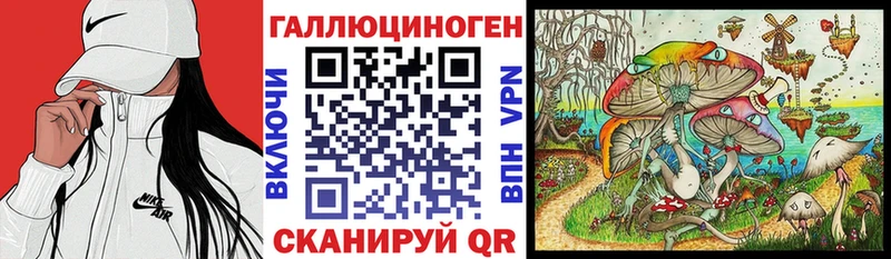 Псилоцибиновые грибы Psilocybe  магазин  наркотиков  Александровское 